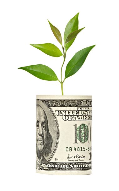 sapling growing from dollar bill - Photo, Image