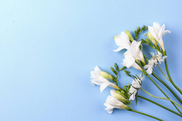 Spring flower mockup. Floral composition with copy space. Flat lay style - Foto, immagini