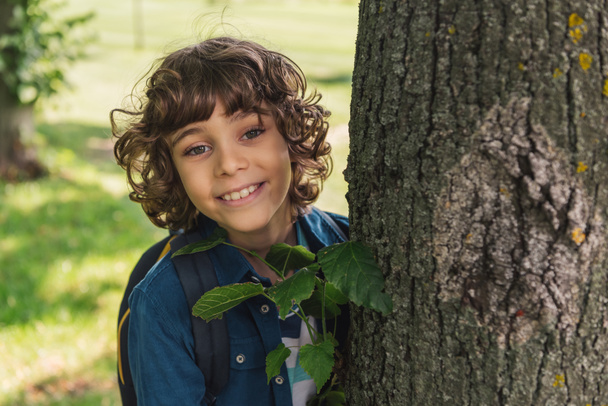 roztomilý kudrnatý chlapec, který se dívá na kameru poblíž kmene stromů  - Fotografie, Obrázek