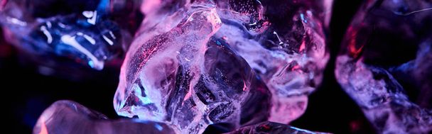 panoramiczny strzał przezroczystych kostek lodu z purpurowym kolorowym oświetleniem na czarno - Zdjęcie, obraz