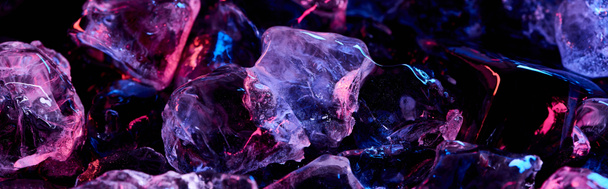 panoramic shot of clear ice cubes with purple colorful lighting isolated on black - Photo, Image