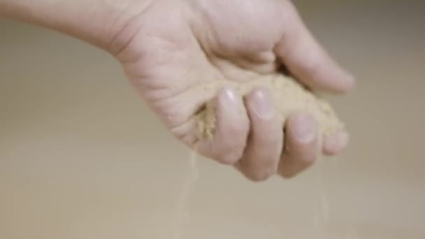 Close-up of hand kneaded bulk material. Action. Carpenter crumples nice touch woody residues after cutting wooden products. Wood dust after sawing wood - Footage, Video