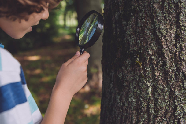 Ausgeschnittene Ansicht eines Jungen, der durch die Lupe schaut, während er in der Nähe eines Baumstammes steht  - Foto, Bild