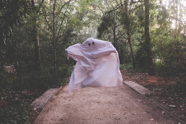 ghost levitating at the woods - 写真・画像