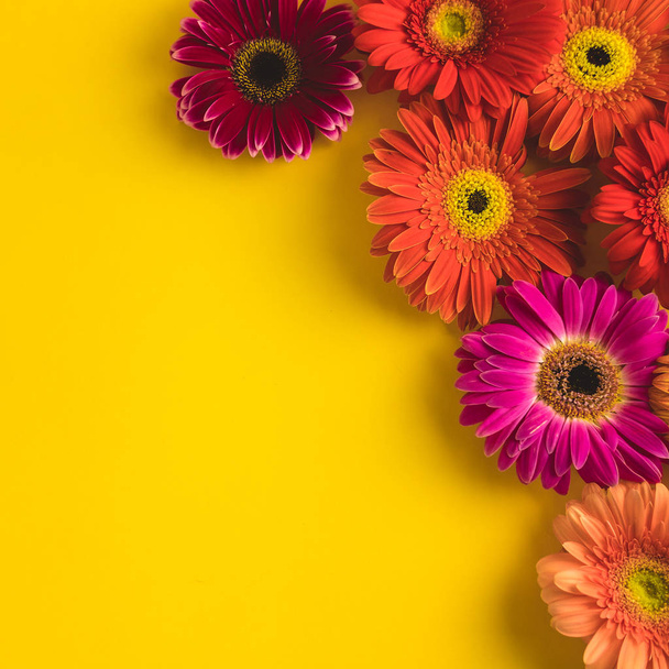 Bright beautiful gerbera flowers on sunny yellow background. Concept of warm summer and early autumn. Place for text, lettering or product. View from above, Copy space. Flatlay. - Фото, зображення
