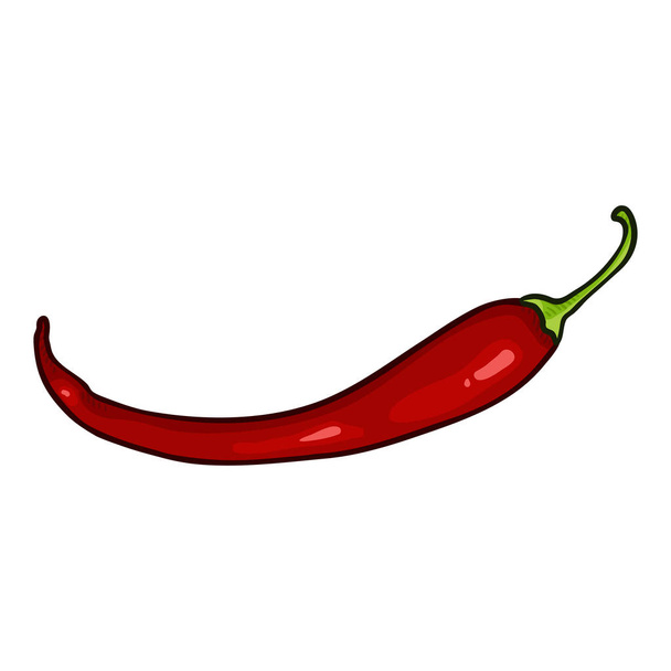 Vector Red Chili Papper Cartoon Illustration - Vector, Image