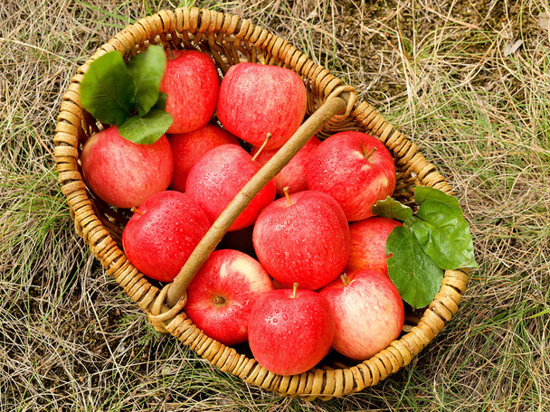 Frutas frescas de maçã na cesta
 - Foto, Imagem