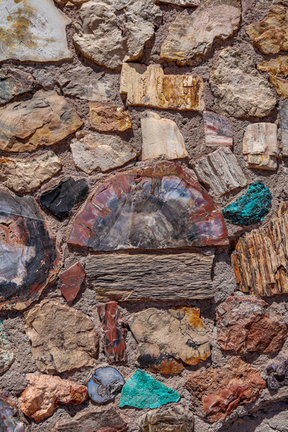 Холбрук Арізона Скам'янілий ліс стіни - Фото, зображення