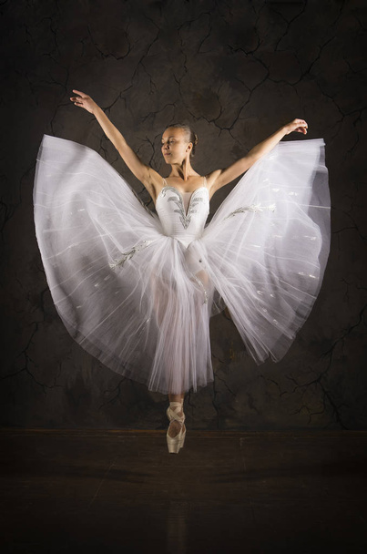 Slender girl in a white corset tutu dancing ballet. - Фото, изображение