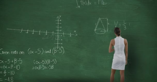 Animation of a young Caucasian woman seen from behind standing and looking at chalkboard with moving mathematical graphs and formulae written in chalk 4k - Кадри, відео
