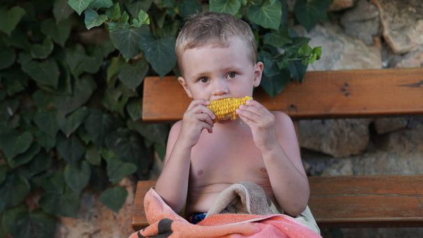 Mignon enfant assis sur le banc et manger un maïs et regarder la caméra
 - Photo, image
