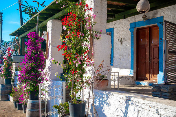 View of fish restaurant or cafe and bougainvillea flowers on Bodrum beach in Gumusluk, Bodrum city of Turkey. Aegean seaside style colorful chairs,houses, marina, sailing boats, yachts, tables and flowers in Bodrum town near beautiful Aegean Sea. - Photo, Image