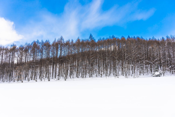 Красивий відкритий ландшафт природи з деревом у сніжних зимових морях
 - Фото, зображення
