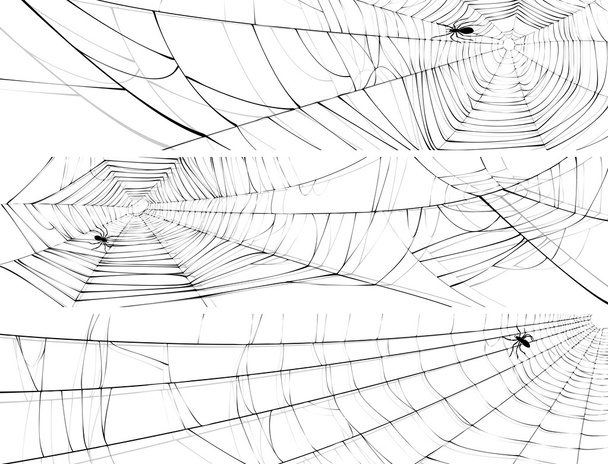 horizontales Banner des Spinnennetzes. - Vektor, Bild