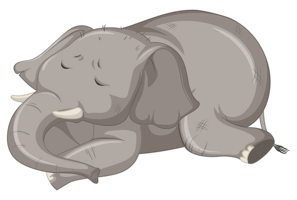 Elefante enfermo sobre fondo blanco
 - Vector, imagen