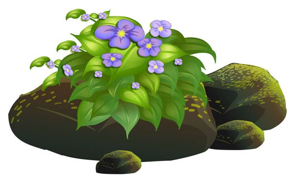 Purpurové květiny a kameny na bílém pozadí - Vektor, obrázek