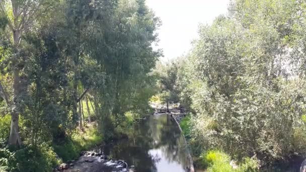 村ゲゴヴィットを通過する川、水が静かに流れ、川のそばに背の高い木々の葉、軽い風から移動、アルメニアで撮影 - 映像、動画
