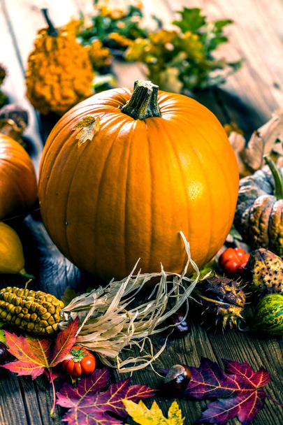 close-up view of fresh ripe whole pumpkins, chestnuts and autumn leaves on wooden table - Foto, immagini