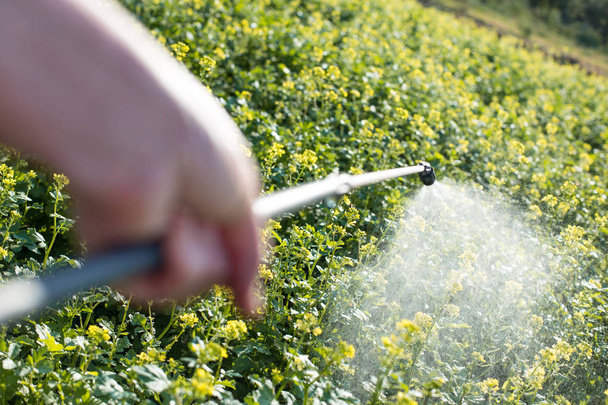 Dünger, Pestizide und Herbizide - Foto, Bild