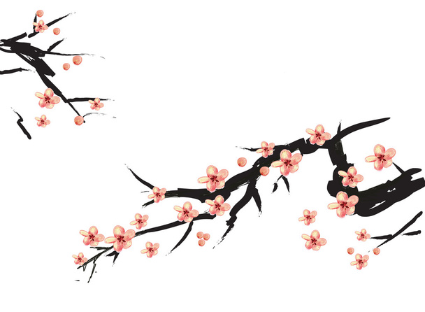 ピンクの梅の中国絵画 - 写真・画像