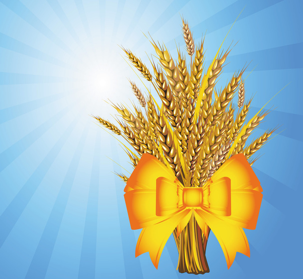 pšenice parta - Vektor, obrázek