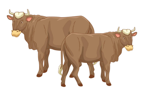 Two cows animals cartoons isolated - Vector, Image