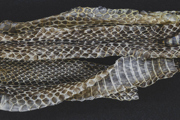 Oude verloren gegane slangevel - Foto, afbeelding