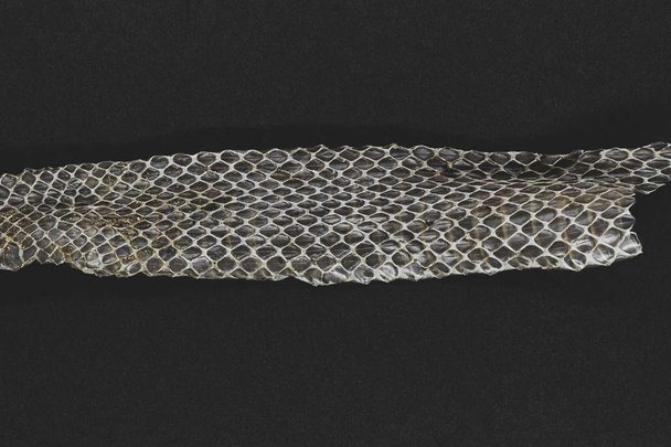 Старая кожа змеи
 - Фото, изображение