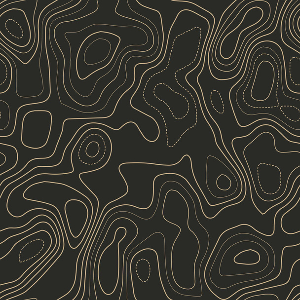 Топографическая карта Фактическая топографическая карта Бесшовный дизайн Отличный мозаичный вектор узора изолин
 - Вектор,изображение