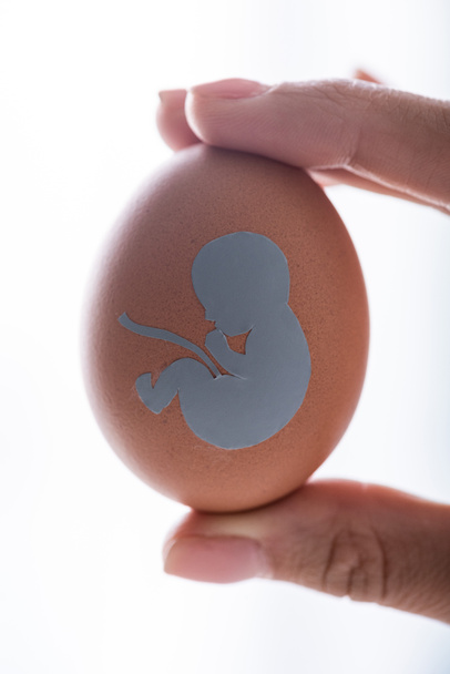 oříznutý pohled ženy držící vajíčko s dětskou siluetou  - Fotografie, Obrázek