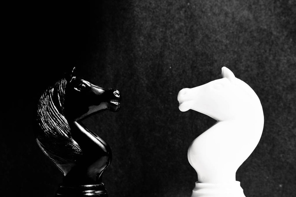 黒と白のチェスの騎士は、黒の背景に鼻に鼻。対決コンセプト. - 写真・画像
