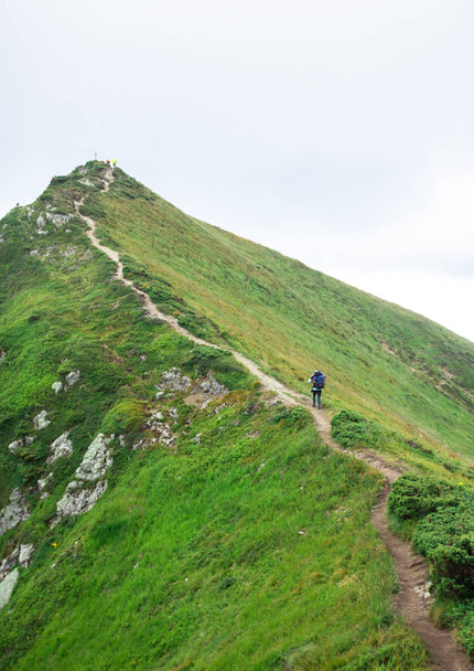 caminante irreconocible en el sendero a la cima de la cordillera verde de la montaña
 - Foto, imagen