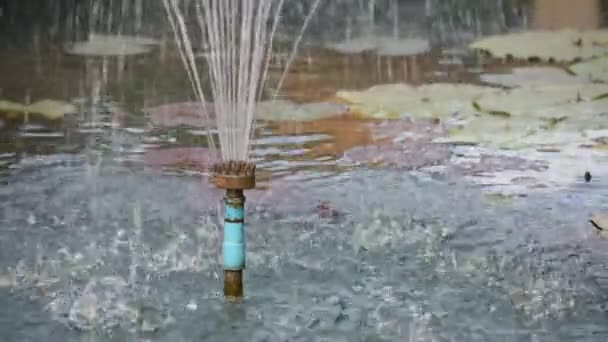 A víz áramlik ki a cső szökőkút a tóban. - Felvétel, videó