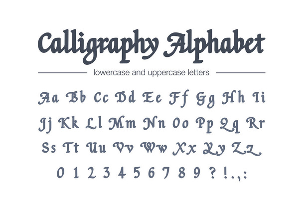Calligraphy alphabet. Universal handwritten bold font. Retro style classic hand drawn script. Vintage business logo design. Modern vector typeface with letters, numbers - Vector, Image