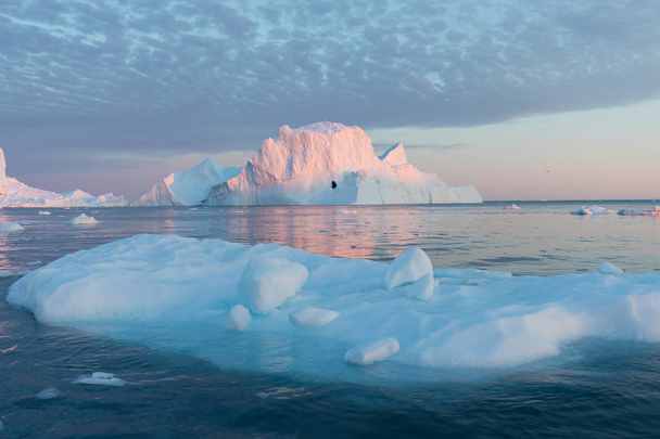 Enormes icebergs de diferentes formas en la bahía de Disko, al oeste de Groenlandia. Su origen es por el glaciar Jakobshavn. Esto es consecuencia del fenómeno del calentamiento global y el deshielo catastrófico del hielo.
  - Foto, imagen