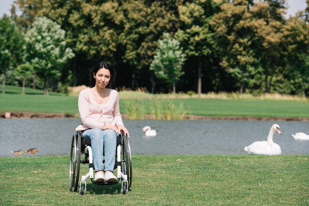 jonge gehandicapte vrouw die naar de camera kijkt terwijl ik in een rolstoel zit in de buurt van de vijver met witte zwanen - Foto, afbeelding