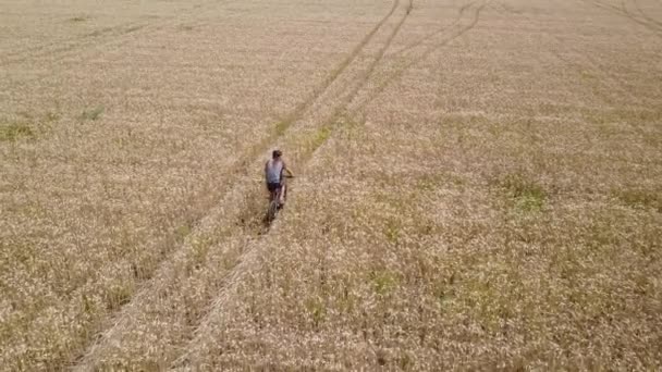 Antenne Tracking shot van een langharige man rijden op een fiets in het midden van een tarwe veld gedurende de dag. - Video