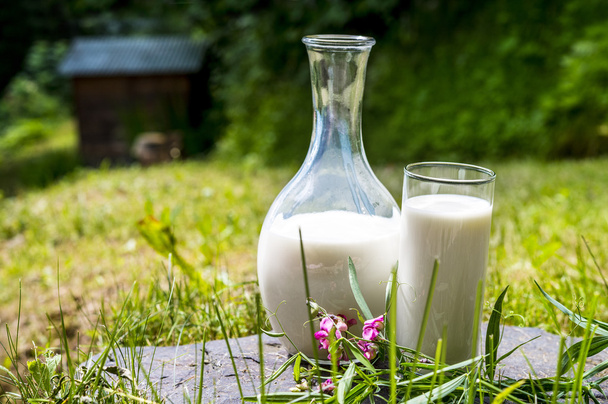 Молоко в кувшине и стакане
 - Фото, изображение