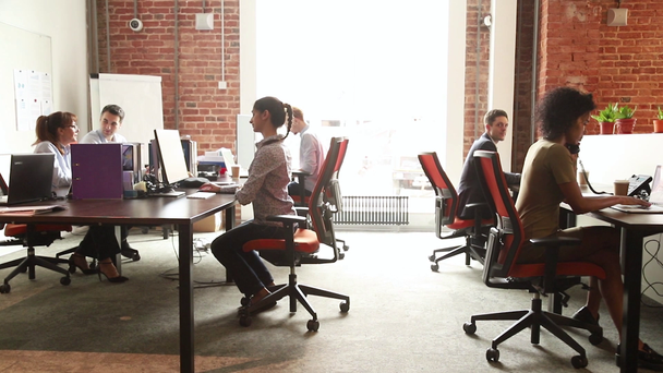 Trabalhadores de escritório multi-racial trabalhando em sala de espaço aberto compartilhado
 - Filmagem, Vídeo