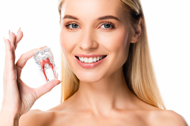 nudo donna sorridente con denti bianchi tenendo modello di dente isolato su bianco
 - Foto, immagini