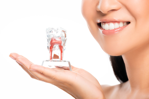 partial view of happy woman holding tooth model isolated on white - Zdjęcie, obraz