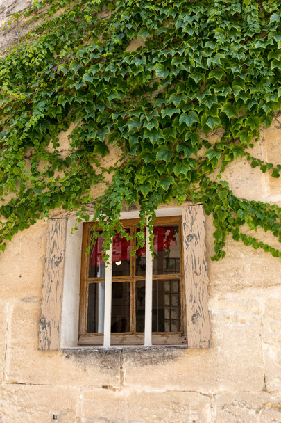 Les Baux de Provence Ivy ile büyümüş bir evin duvar. Bouches du Rhone, Provence, Fransa - Fotoğraf, Görsel