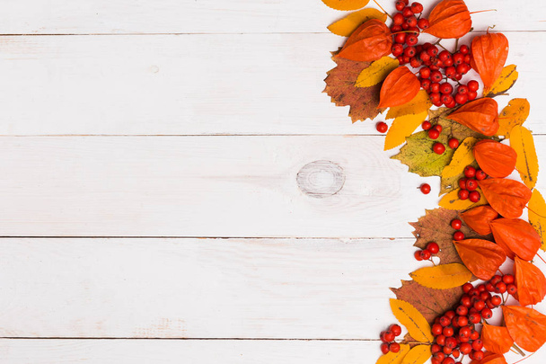 Beautiful autumn background for text - Fotografie, Obrázek