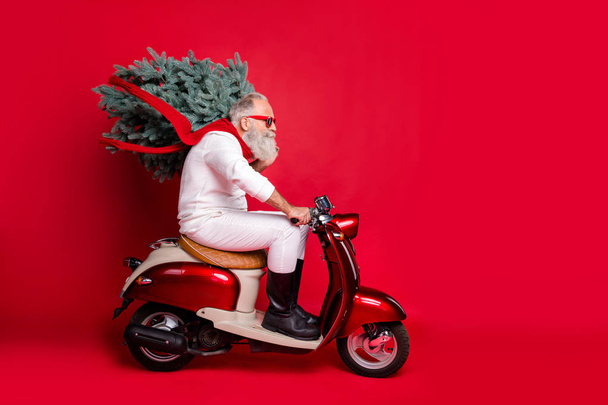 Full body profile side photo of handsome pensioner carrying fir tree wearing eyewear eyeglasses driving bike wearing pullover pants trousers isolated over red background - Foto, Imagen
