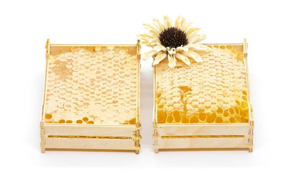 Pentes de mel em uma armação de madeira com uma flor em um fundo branco
 - Foto, Imagem