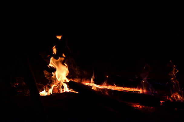 Campfire burning in forest, close up view - Φωτογραφία, εικόνα