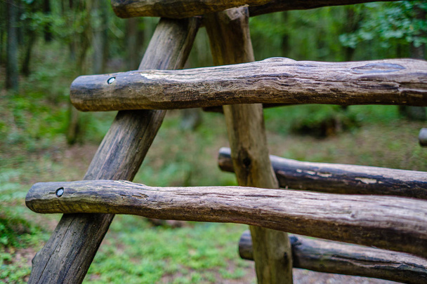 wooden stairs in summer green forest - Foto, Bild