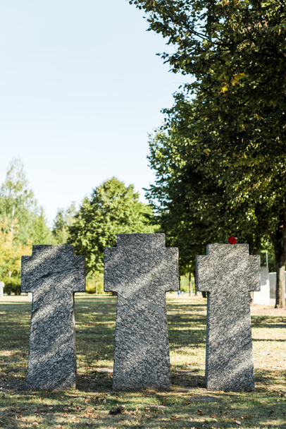 červená růže na betonové hrobě na hřbitově  - Fotografie, Obrázek