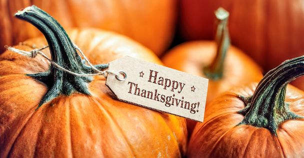 Pumpkins With Happy Thanksgiving Paper Tag - Valokuva, kuva
