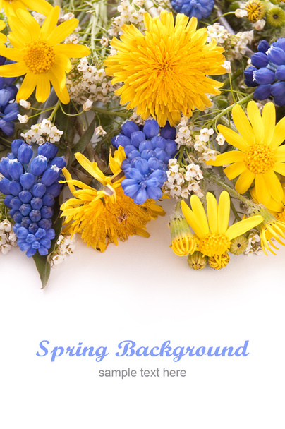 Spring Flowers with dandelion and muscari - Zdjęcie, obraz